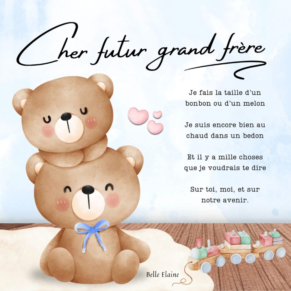 cher futur grand frère belle elaine livre arrivée bébé préparer grossesse ainé enfant
