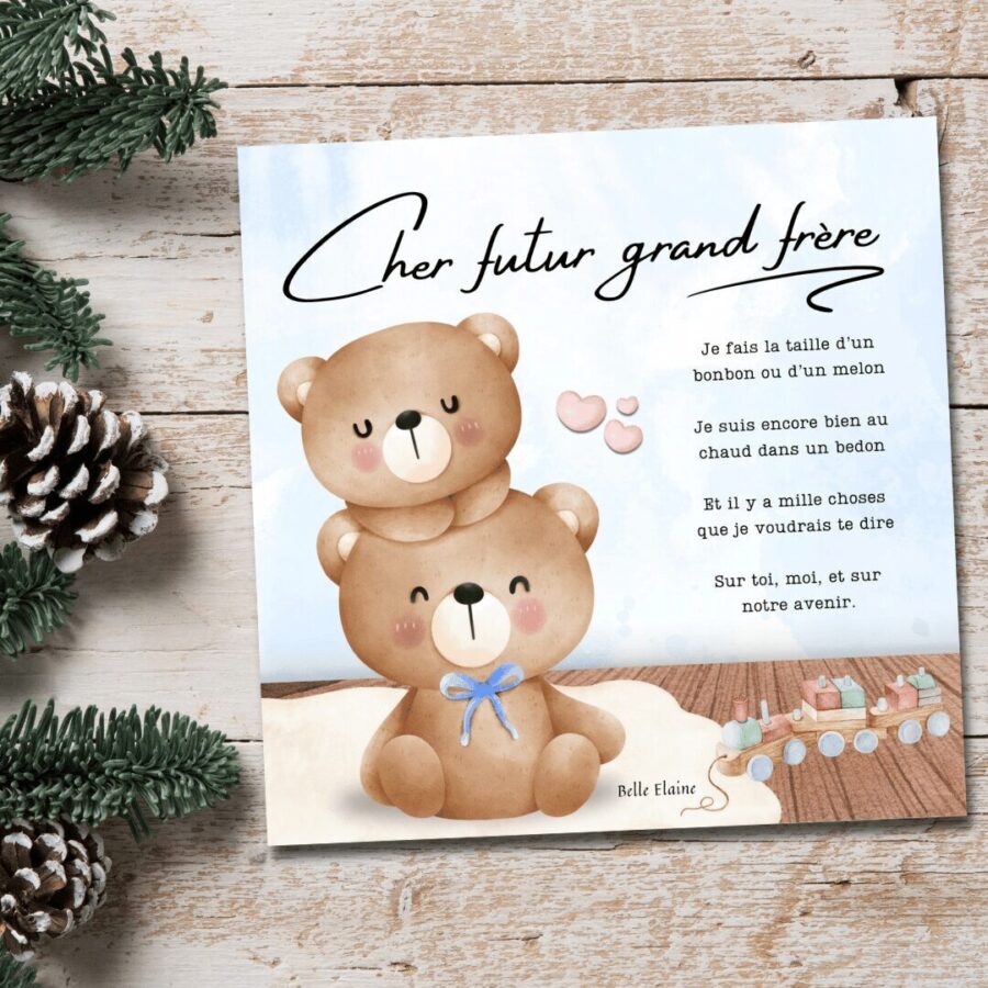 cher futur grand frère belle elaine livre arrivée bébé préparer grossesse ainé enfant nouveau-né