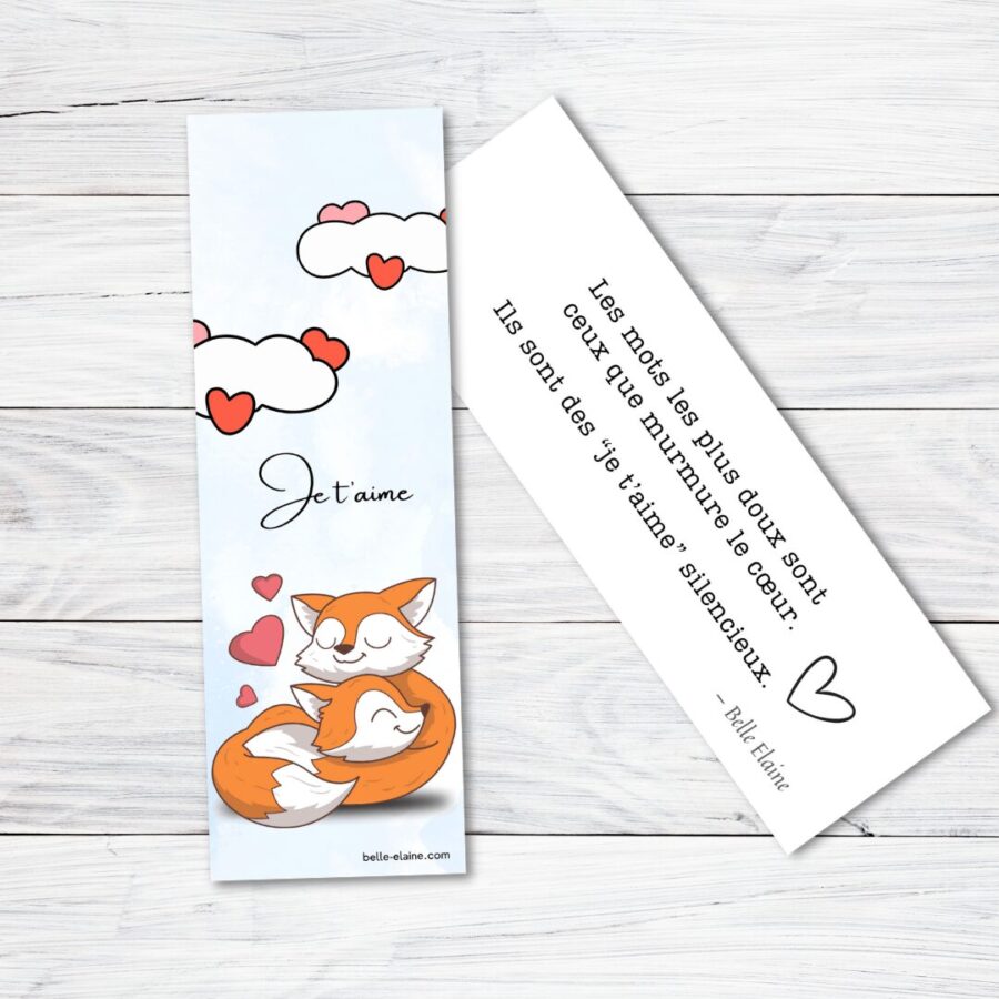 signet personnalisé je t'aime silencieux les belle elaine auteure livre pour enfant amour saint-valentin cadeau